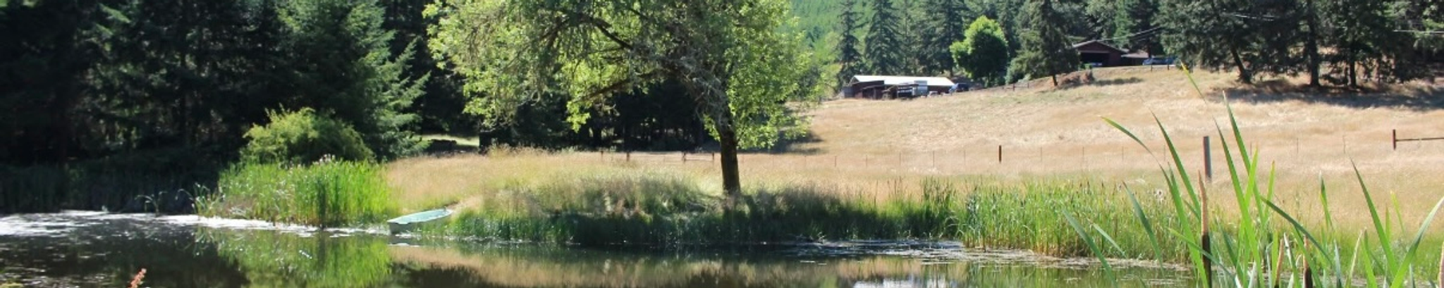 Cover for Sandra Lee Oliphant's Obituary