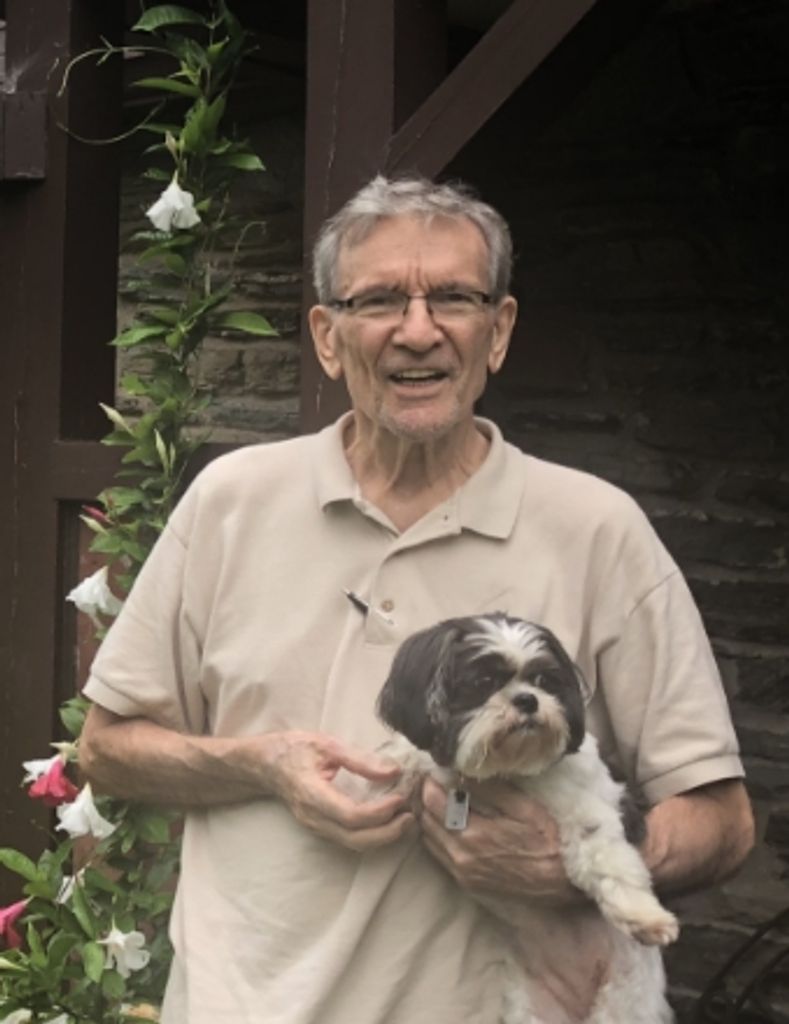 Thomas J. Risi