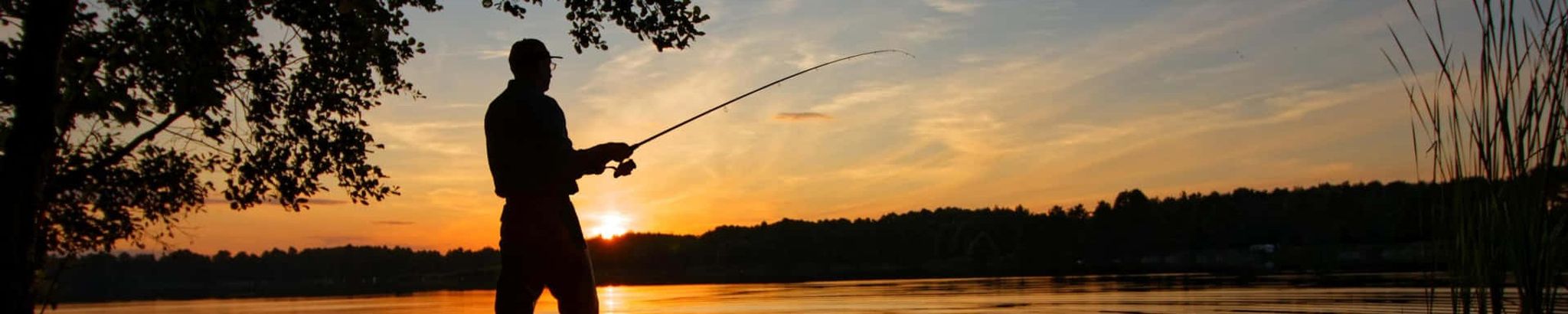 Cover for Theodore Backus's Obituary