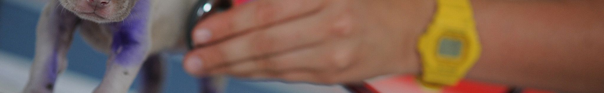 Cover photo for Raymond 'Reid' Hendricks's Obituary