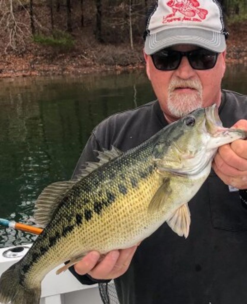 Scott William Macgibbon