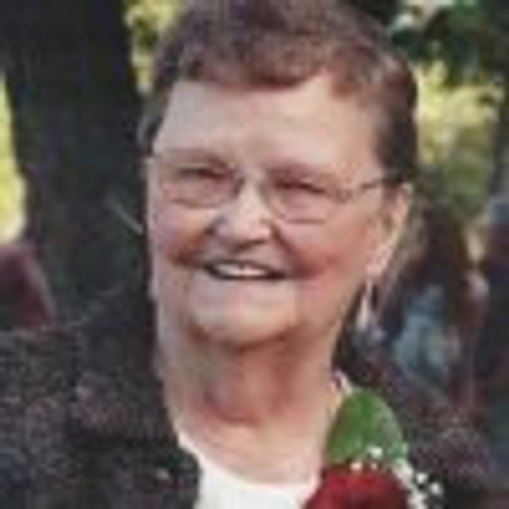 Shirley Louise Hollister