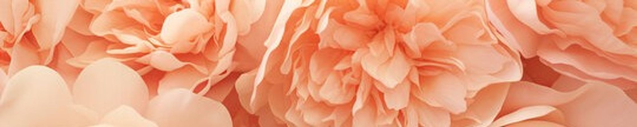 Cover photo for Loretta Salazar's Obituary