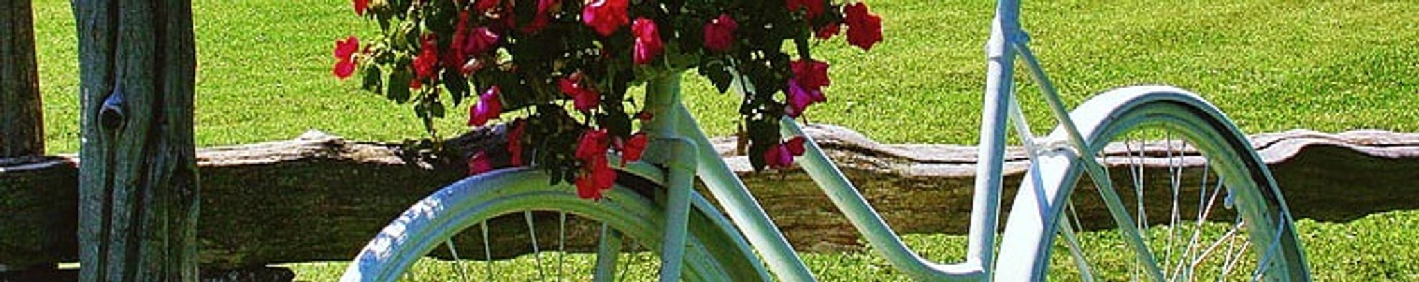 Cover photo for Allegra Hayes Saunders's Obituary