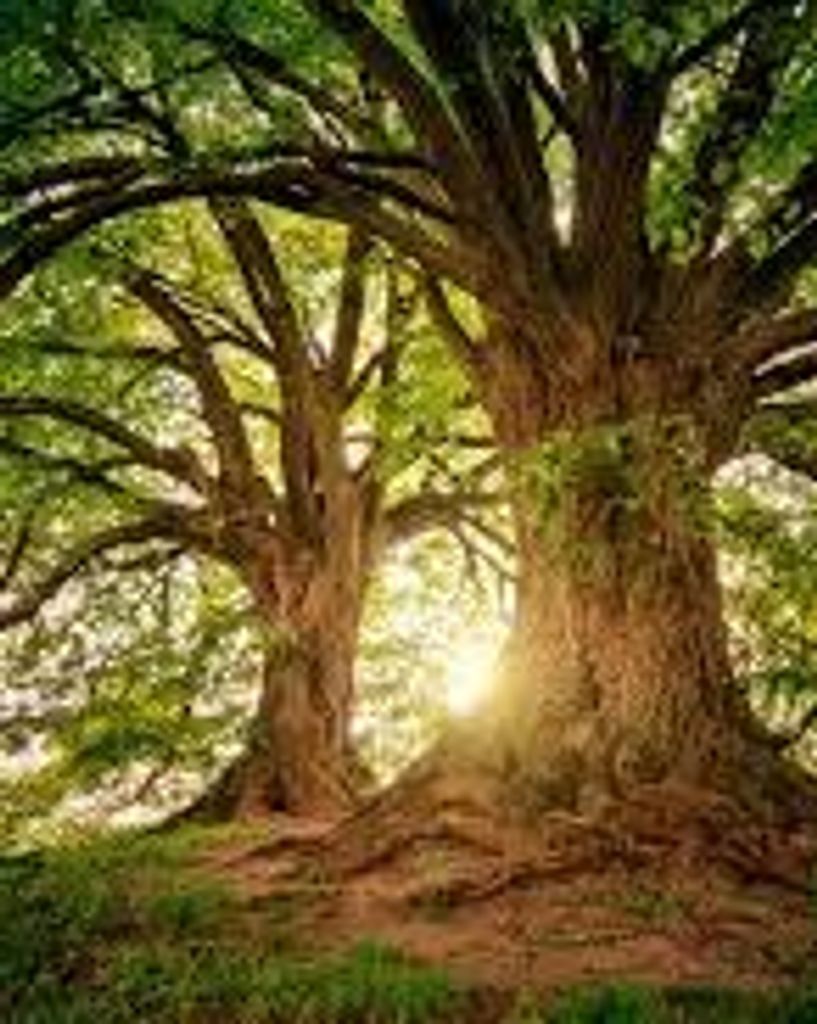 Michael Shane Kelley