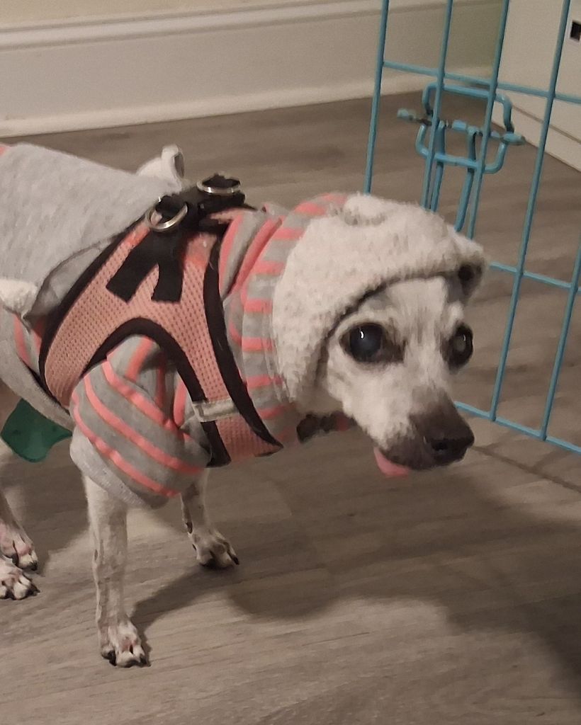 Annika Meyer Profile Photo