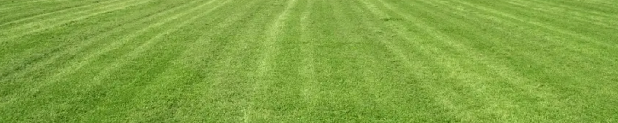 Cover for Edward W. "Ted" MacDermott's Obituary