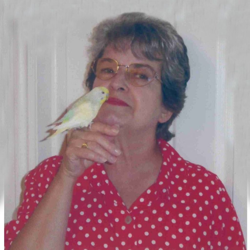 Gale Ann Ellston Arntz