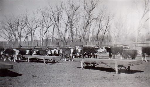Earl B. Erdman photo gallery thumbnail 12 of 98