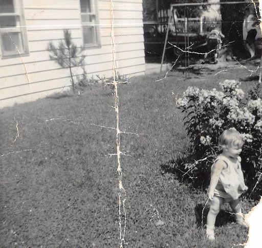 Donna Jean Timmons photo gallery thumbnail 4 of 99