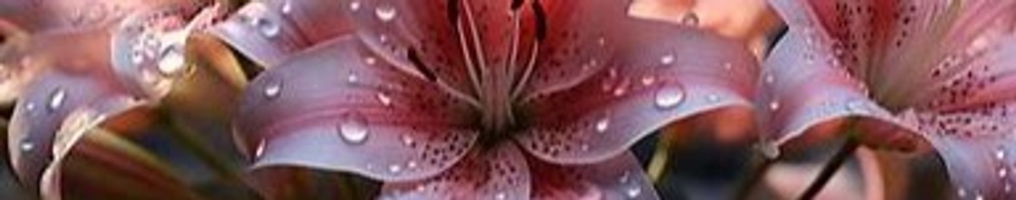 Cover photo for Mary Louise "Weezer" Hines's Obituary
