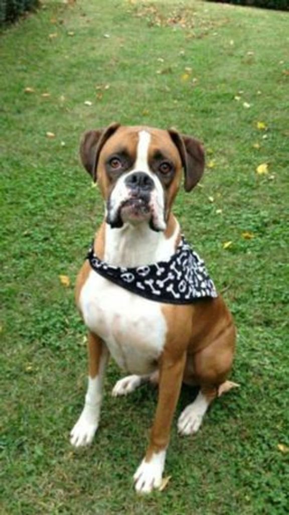 Barley Lofgren Profile Photo