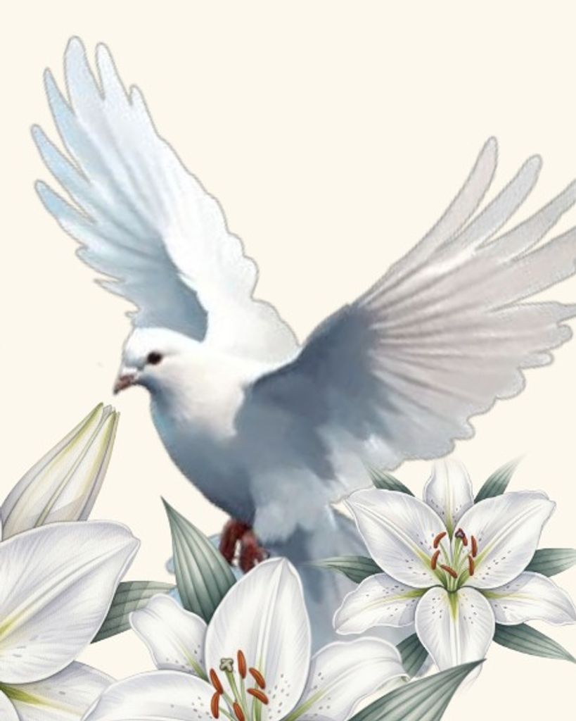 Effie Marie Wash Profile Photo