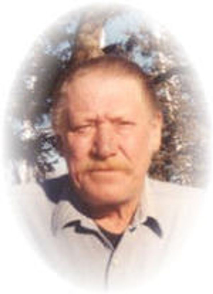 Merle Eugene Vokoun