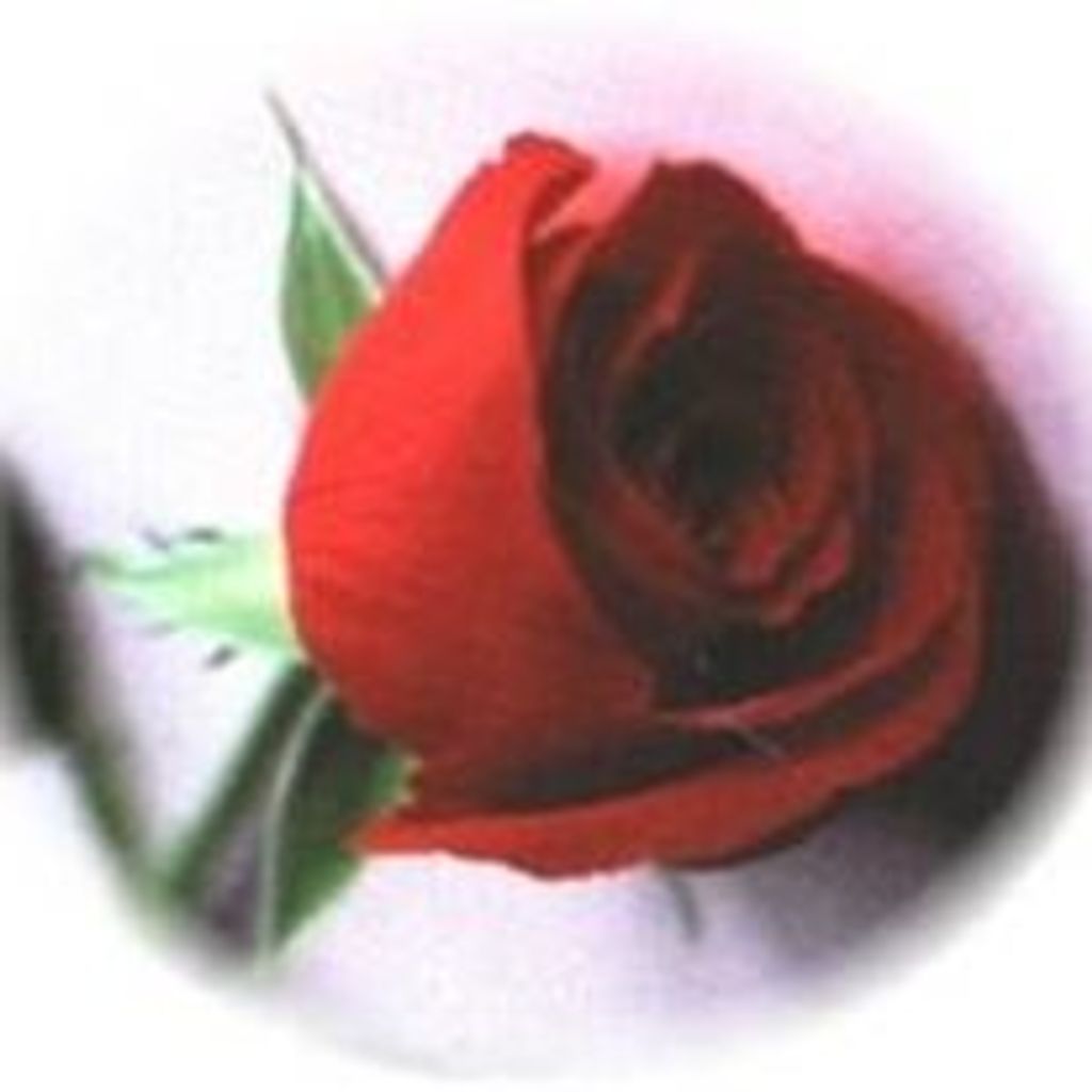 Wilma Buchert Profile Photo