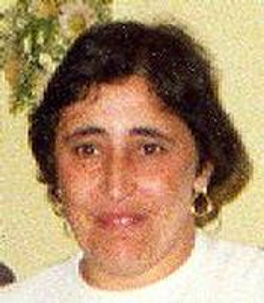 Maria C. Raposo