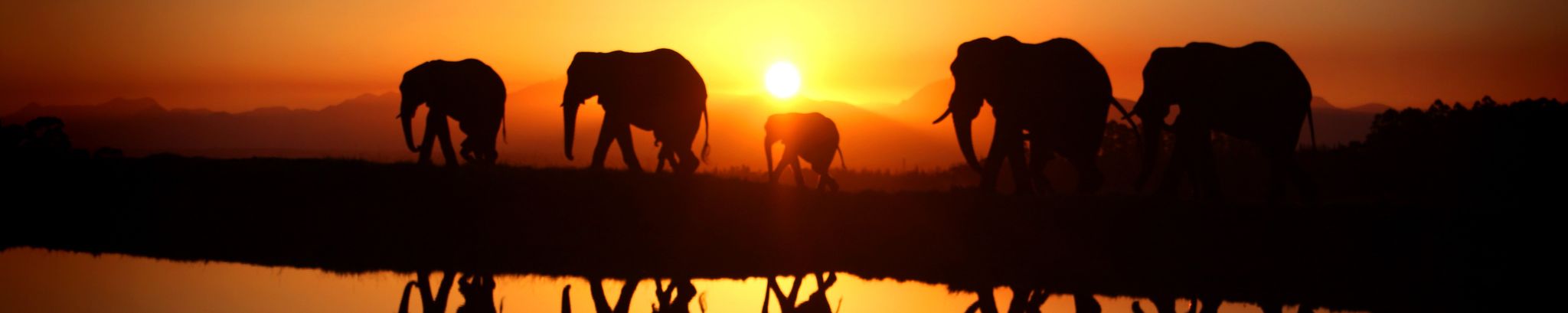 Cover for Brenda Lou Jackson's Obituary