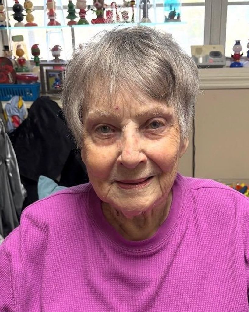 Patricia Ann Hunsinger