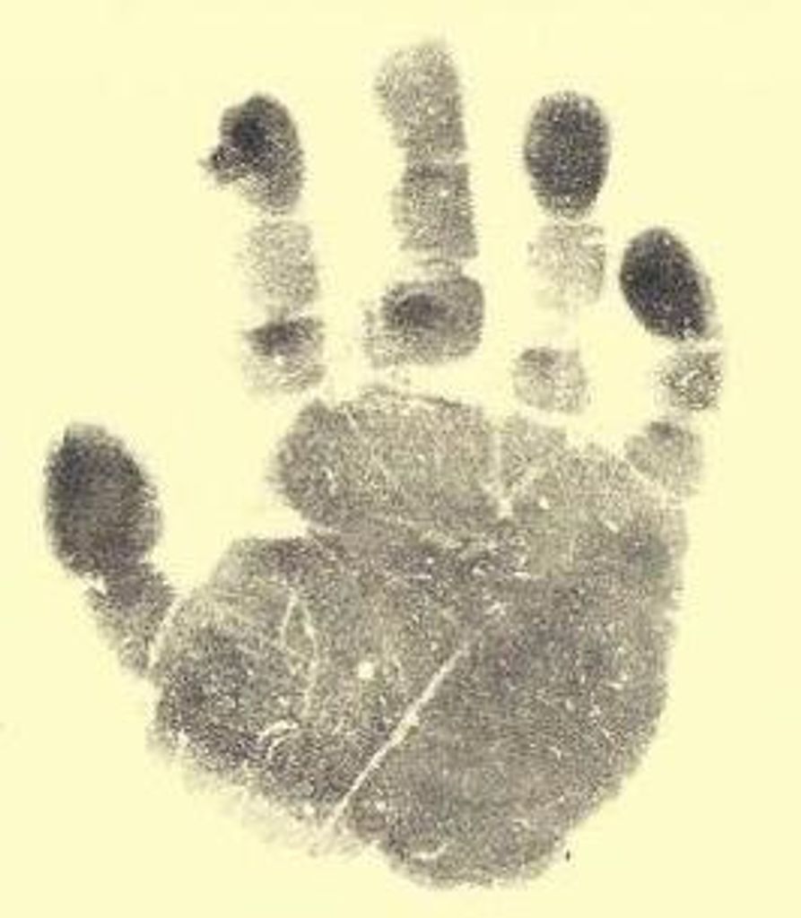 Noah Nicks Profile Photo