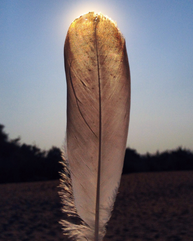 Renee Villebrun-Johnson