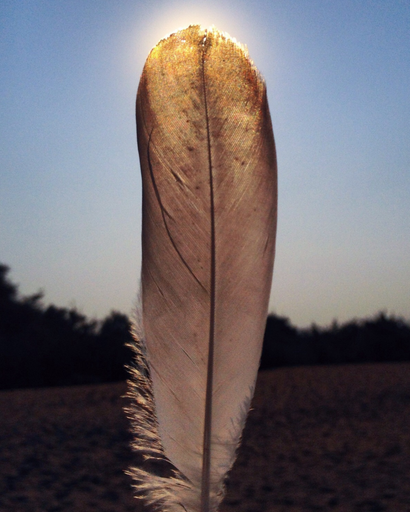 Renee Villebrun-Johnson's obituary image