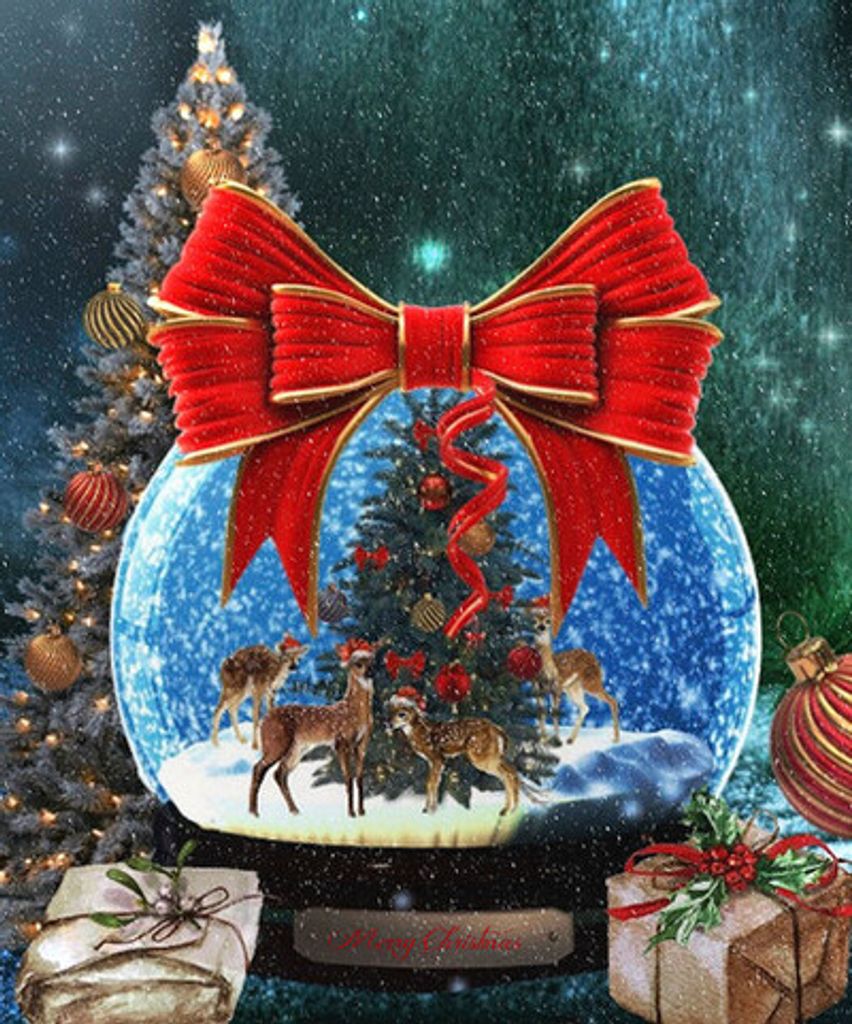 29Th Annual Christmas Service Of Remembrance