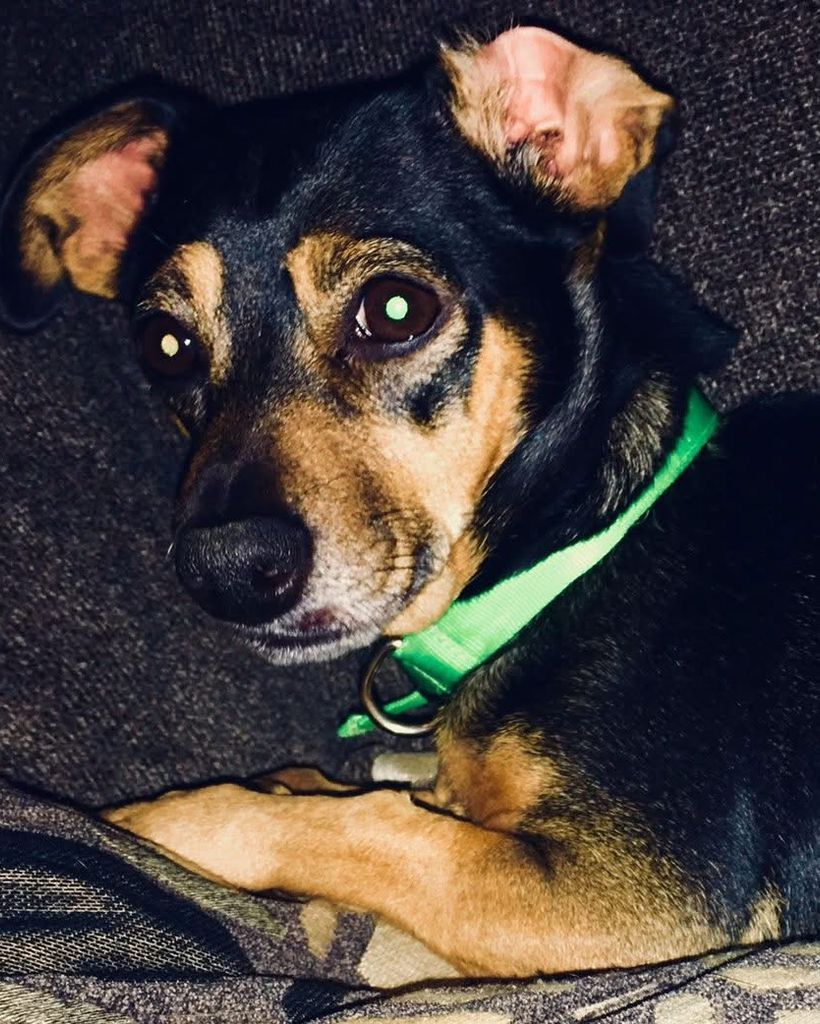 Sugar Marie Lawrence Profile Photo