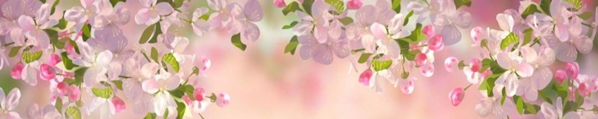 Cover photo for Edna Ruth Whitman Douglas's Obituary