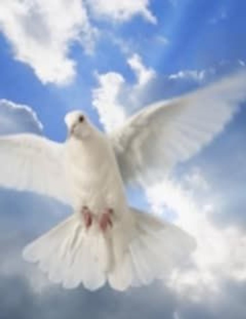 Sherman Alford Profile Photo