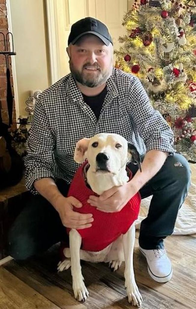 Daniel P. Valko Profile Photo