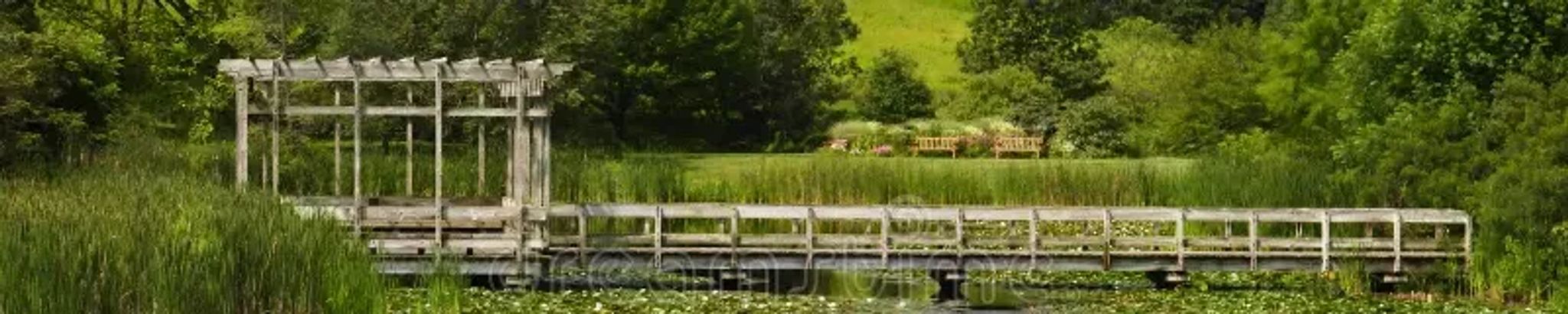 Cover for Wayne D. Stokes's Obituary