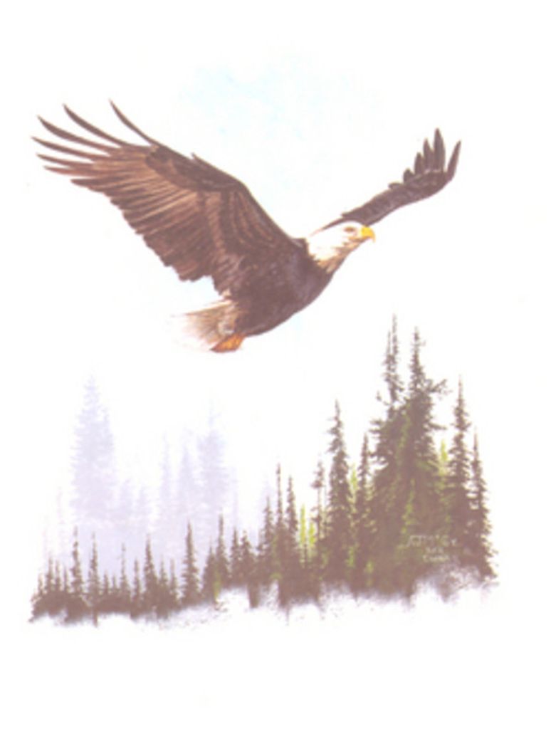 Jaycee Marie Ringing Shield Profile Photo