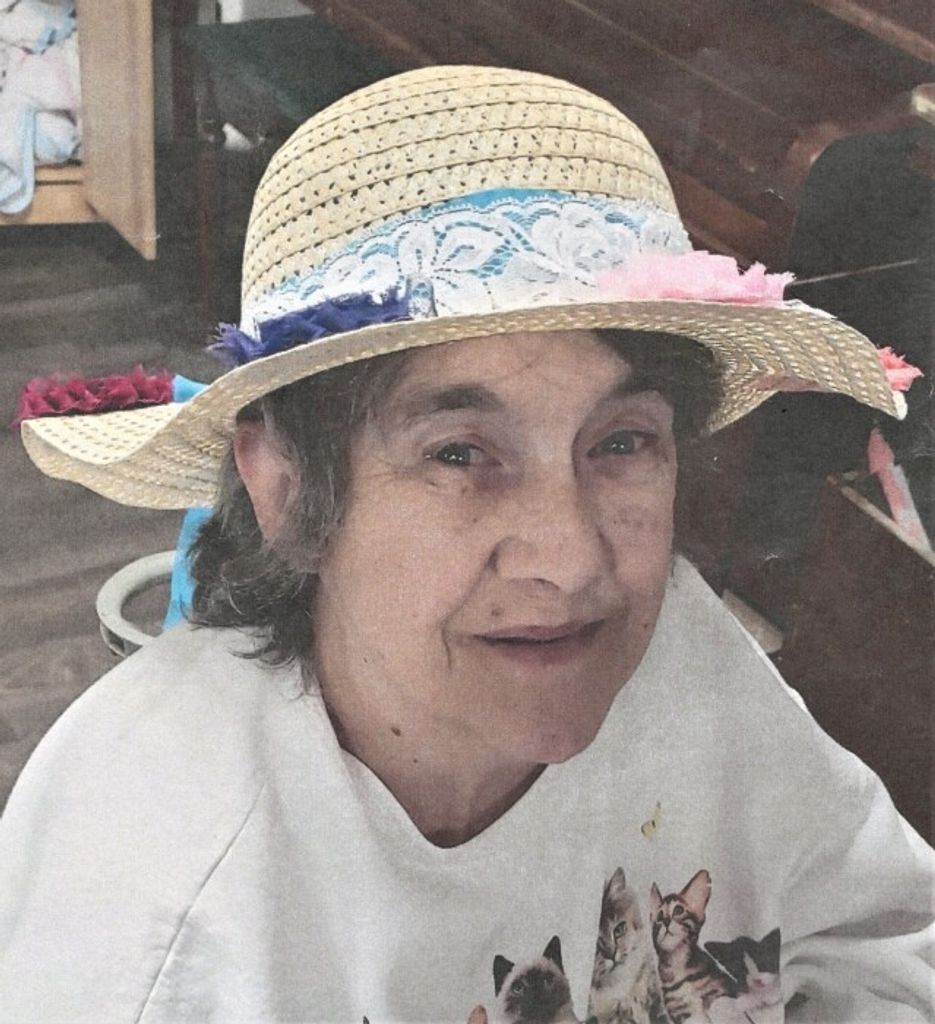Linda L. (Hall)  Doyle Profile Photo
