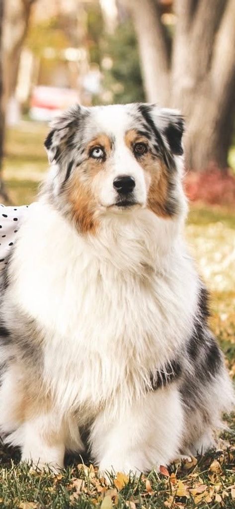 Bliss "Blissy" Vaughan Profile Photo