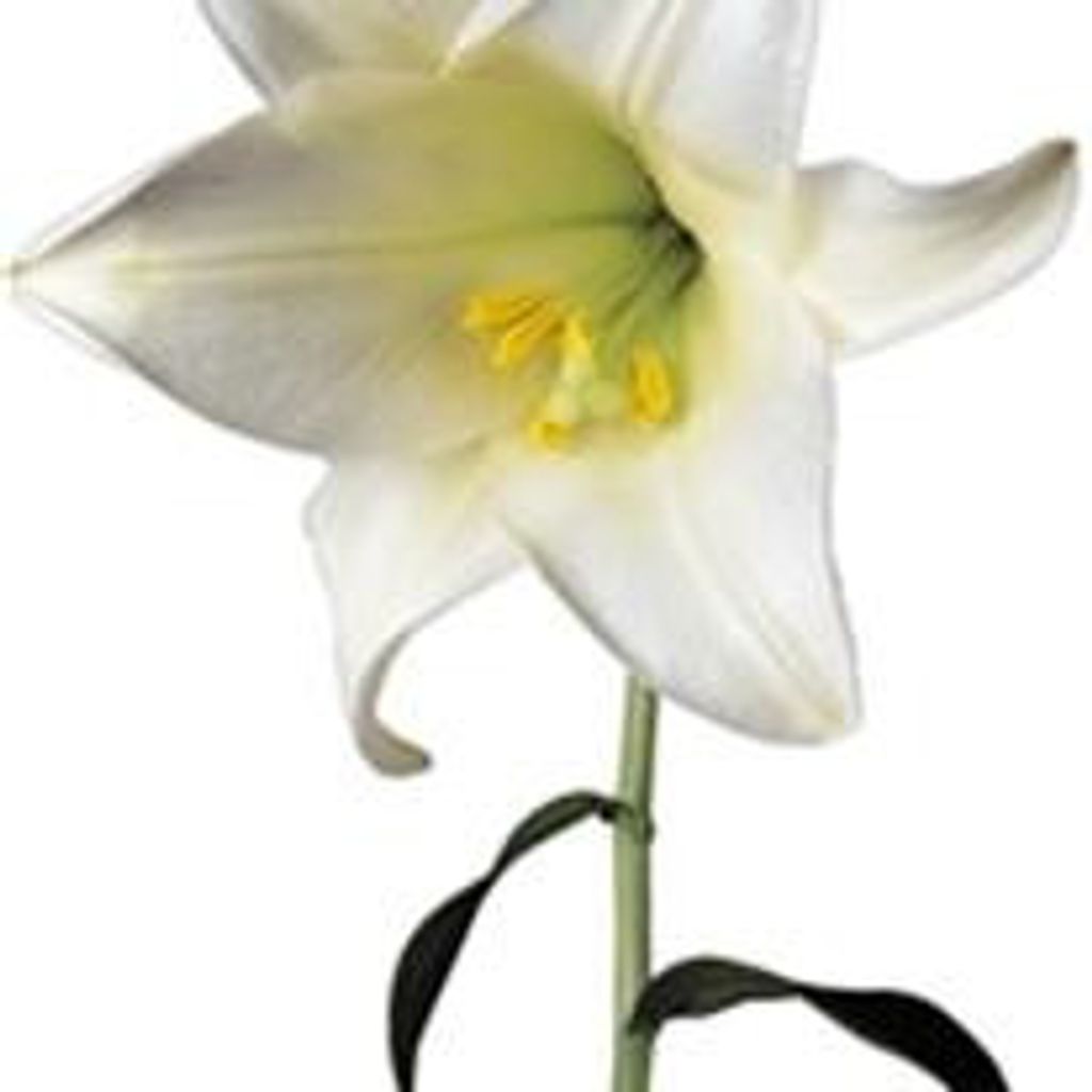 Mary Beran