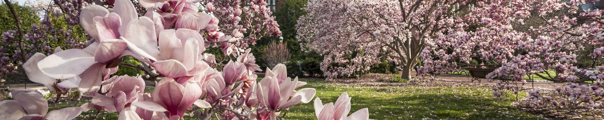 Cover photo for Barbara Ellen Hawkins's Obituary