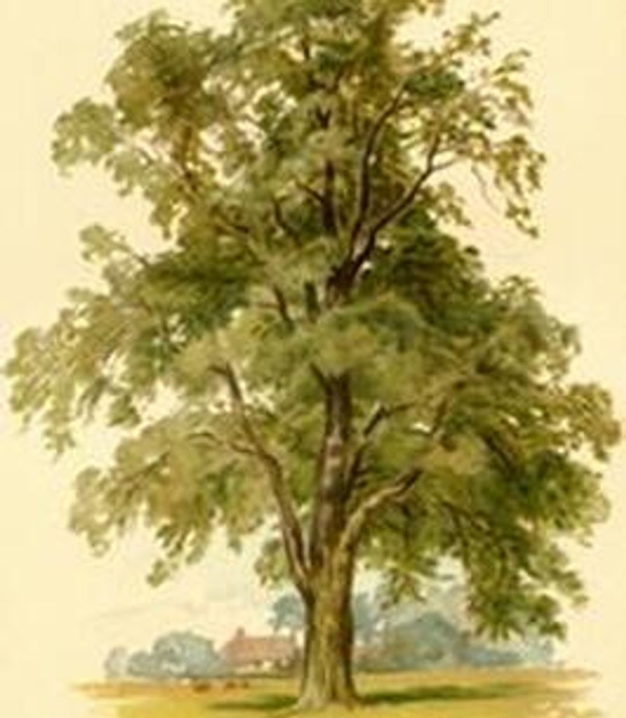 Christopher Rogers