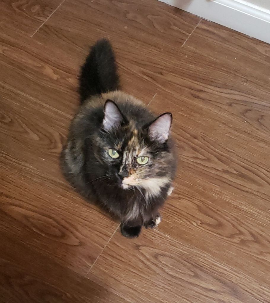 Stella Profile Photo