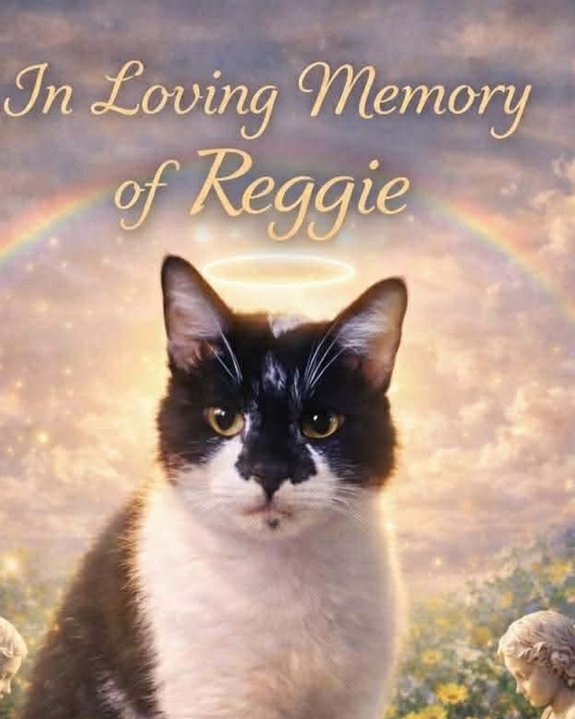 Reggie Ponder Profile Photo