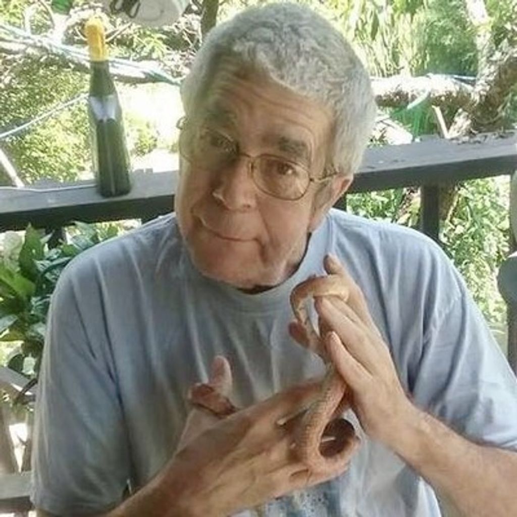 Robert "Bob" Newman Profile Photo