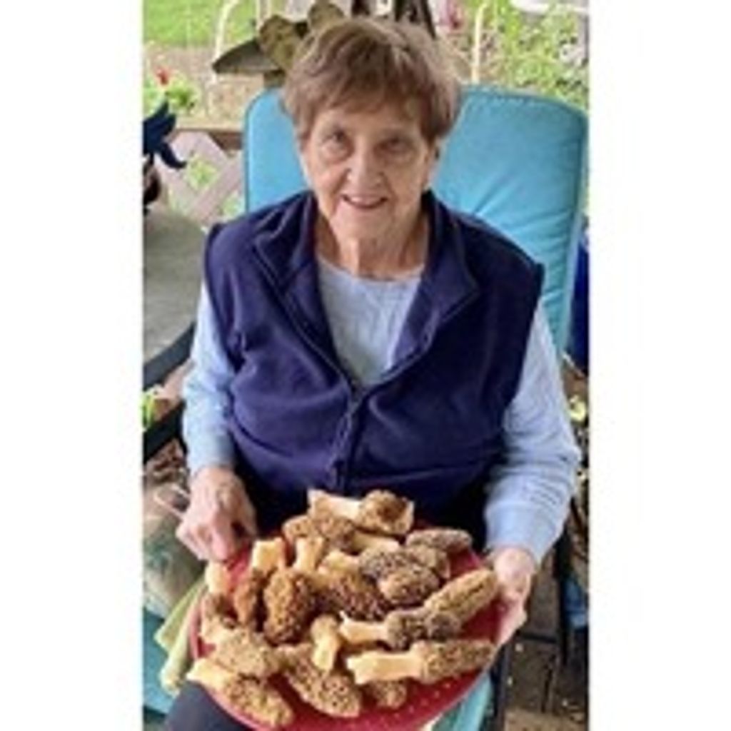 Mary A. Lewis