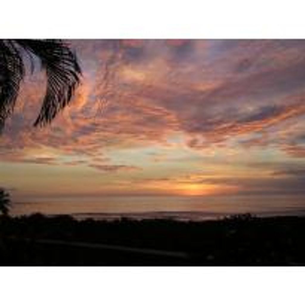 Mary Diane Cox Profile Photo