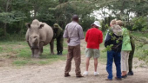 Paul J. Gould photo gallery thumbnail 10 of 18
