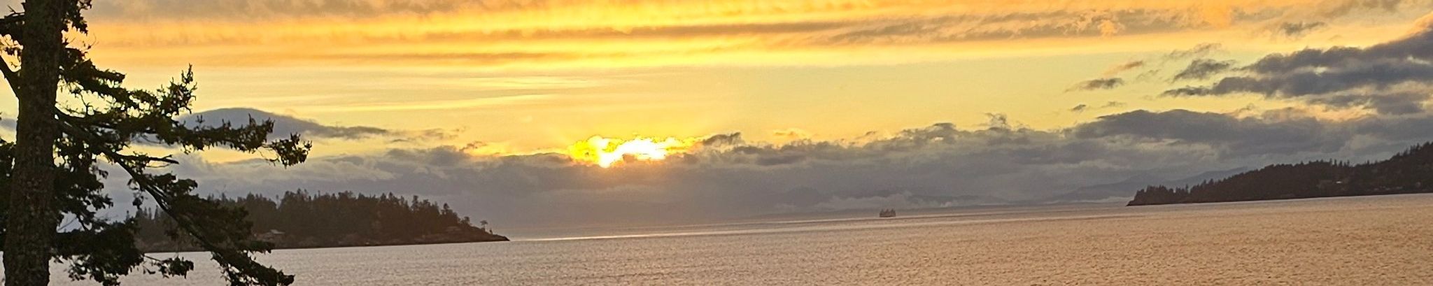 Cover photo for Dr. Albert Paul Scholtz's Obituary