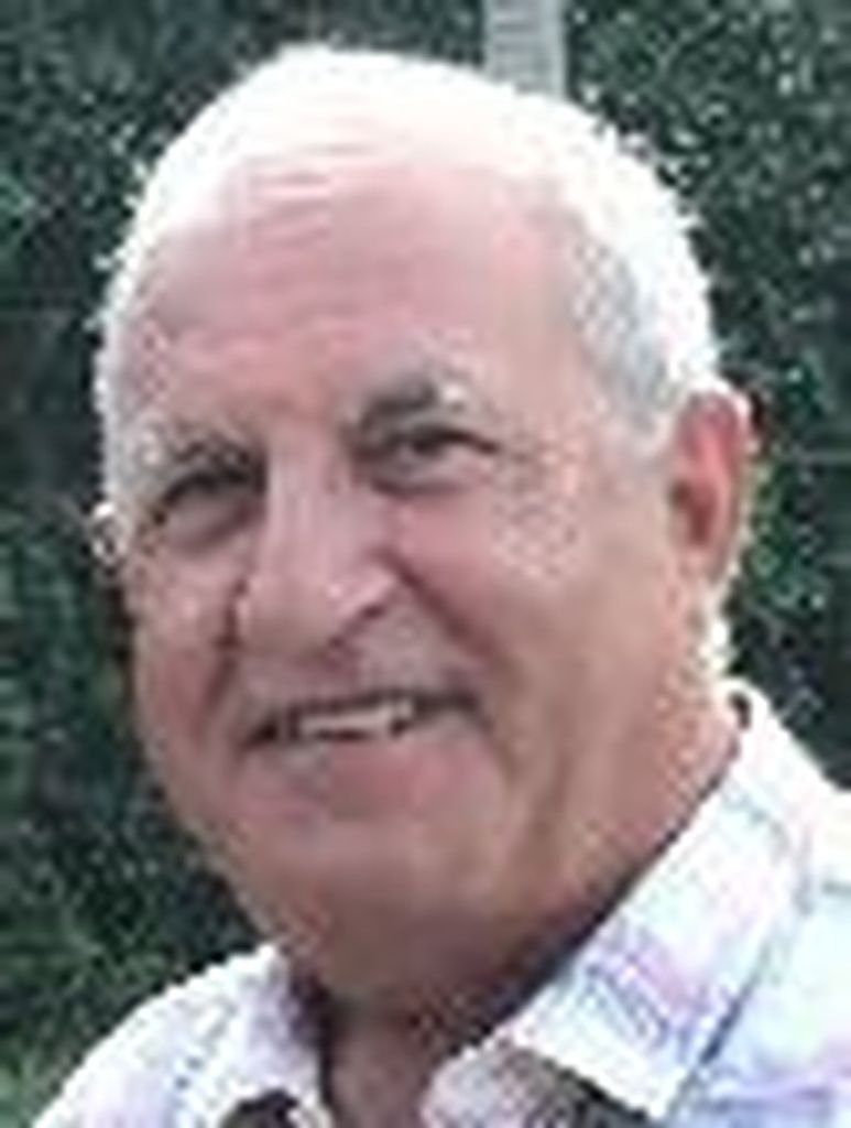 Domenico "Dom" Pelle