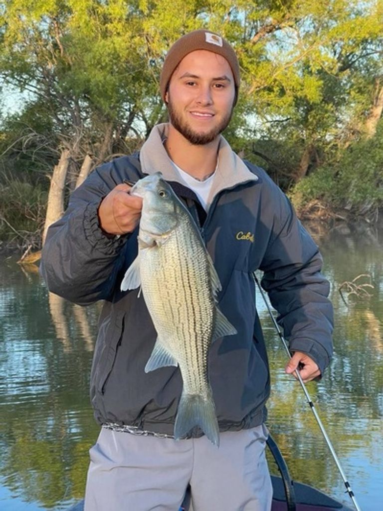 Christian A. Zamora Profile Photo