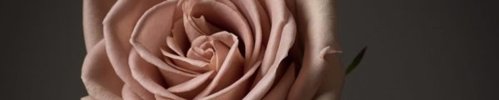 Cover photo for LuAnn Bowman's Obituary