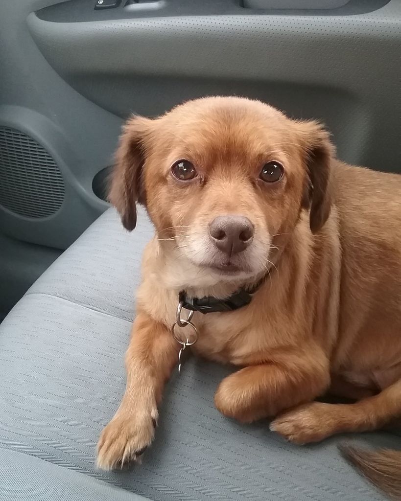 Gilbert Laws Profile Photo