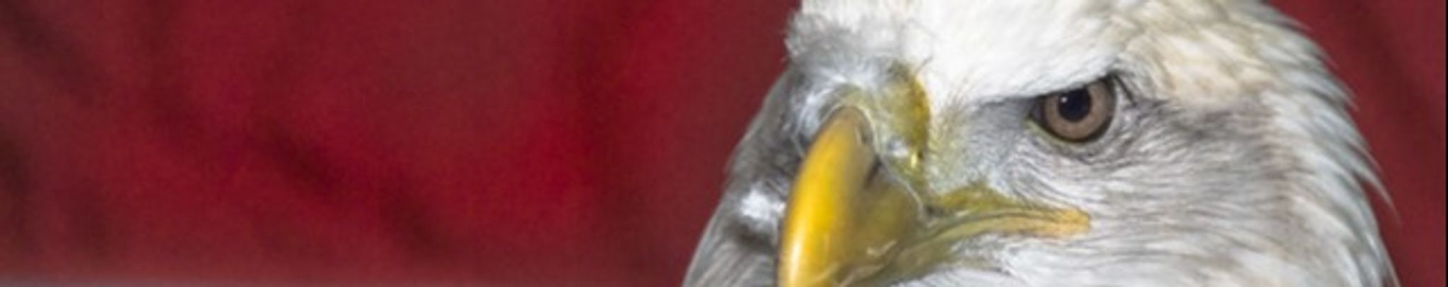 Cover photo for Lew E. Weidlich's Obituary