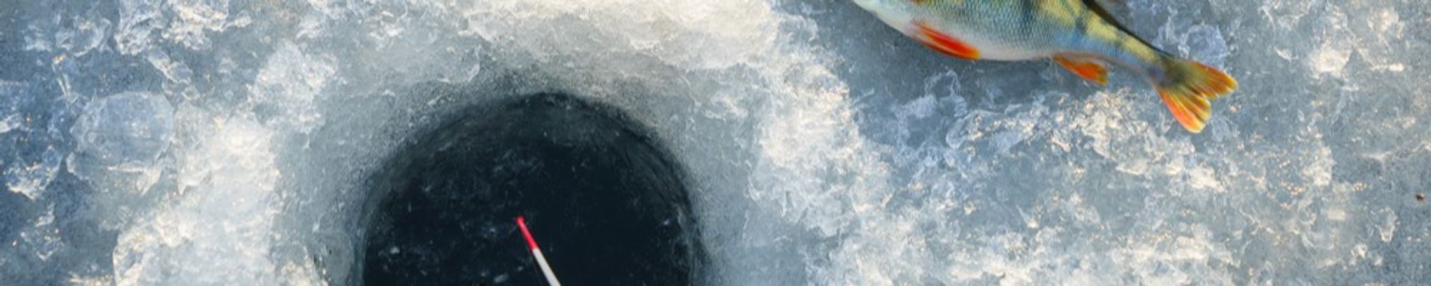 Cover photo for Paul R. Guillemette's Obituary